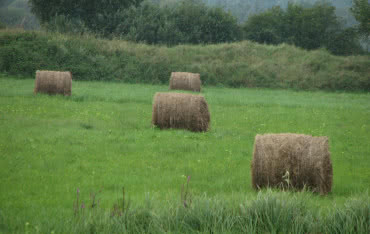 EC Tychy otrzyma dofinansowanie z WFOŚiGW na budowę kotła na biomasę